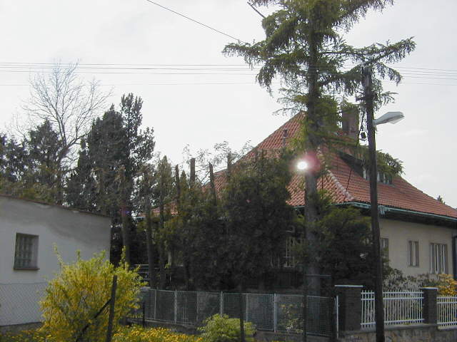 Speci�ln� upraven� stromy