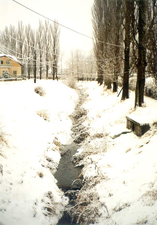 Zima na Cidlin�.