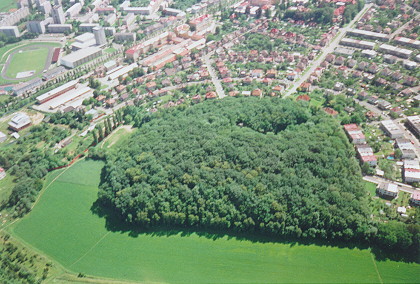 �e�ovka cel� (70K), zv�t�en� � 200K