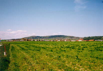 Prachovsk� h�bet od Ji��na