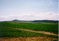 Velíš v krajině