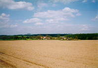 Vyskeř od Mladějova