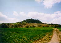 Vel� od Vok�ic II.