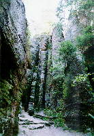 Prachovsk� sk�ly 16