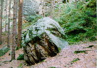 Prachovsk� sk�ly 14