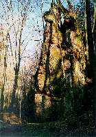 Prachovsk� sk�ly 26