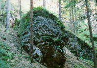 Prachovsk� sk�ly 22