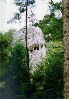 Prachovsk� sk�ly 28