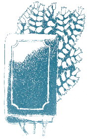 Ob�lka LSK od r. 1996