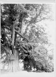 P�edchoz� po�kozen�