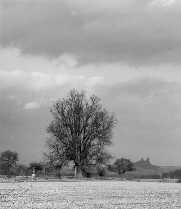 Kdysi rozko�at�l� l�pa.