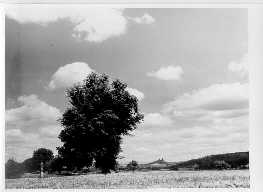 Pohled od Libo�ovic.