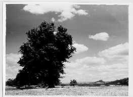 Bli��� pohled.