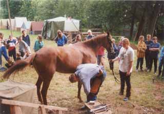 T�bor Havlovice 2000