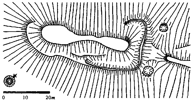 tvrz u Bezn�ka � p�dorys