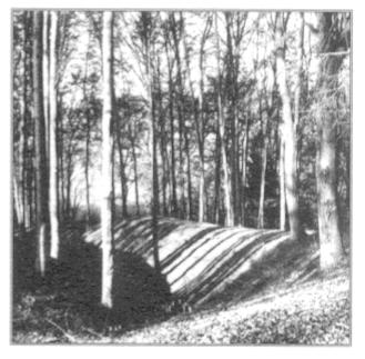 tvrz v Mokřici – pohled