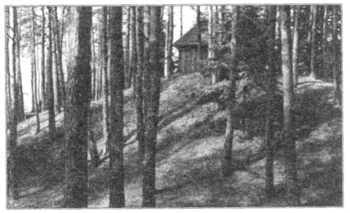 tvrz v Pa��zku � pohled