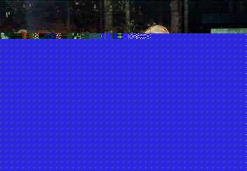 Z návštěvy studentů z Wijku, 1 (26k)